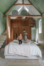 Load image into Gallery viewer, INSPIRING FAMILY HOMES: FAMILY-FRIENDLY INTERIORS &amp; DESIGN
