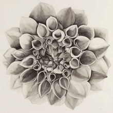 Load image into Gallery viewer, Dahlia - Shelter and Gather
