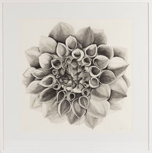 Load image into Gallery viewer, Dahlia - Shelter and Gather

